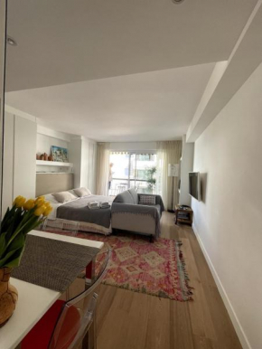 Superbe studio pour congrés au coeur de Cannes